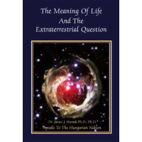 The Meaning of Life and the Extraterrestrial Question
